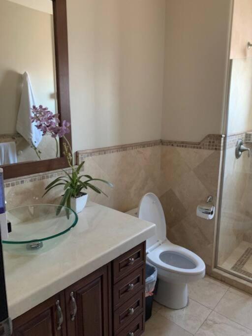 Access - Beach Penthouse Papas And Beer 2 Miles Wifi Rosarito Exterior foto